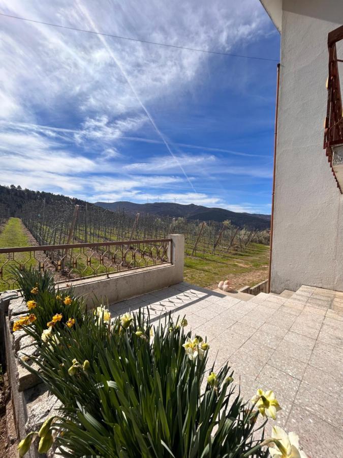 Villa Casa Vicente à Lamego Extérieur photo