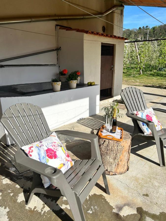Villa Casa Vicente à Lamego Extérieur photo