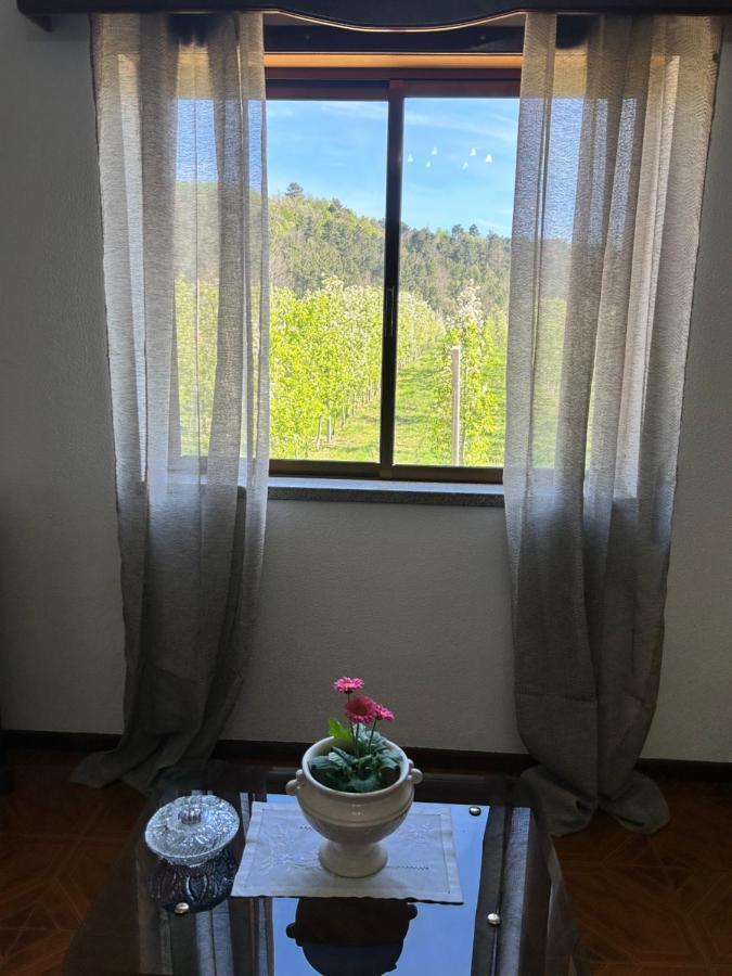 Villa Casa Vicente à Lamego Extérieur photo