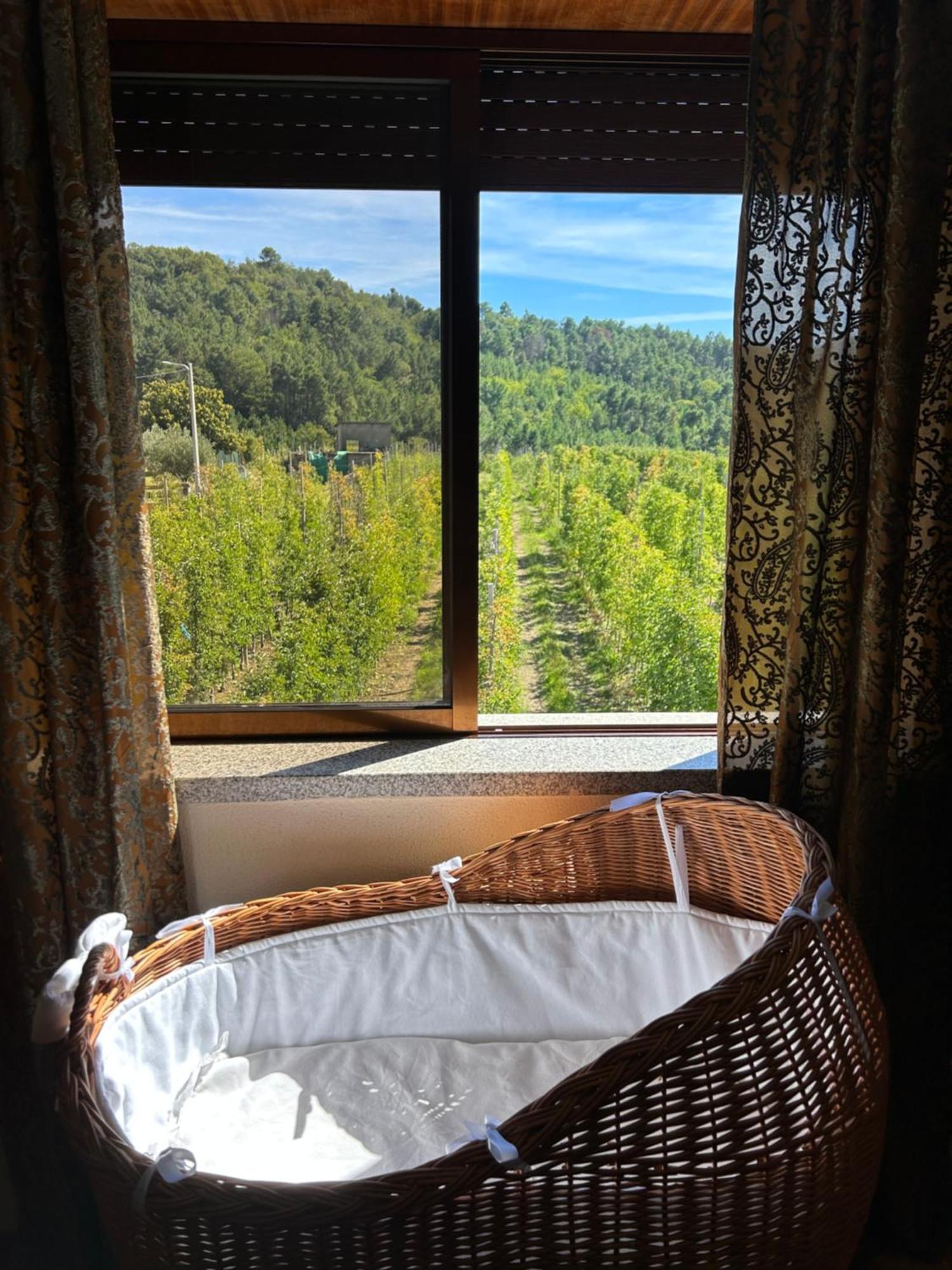 Villa Casa Vicente à Lamego Extérieur photo