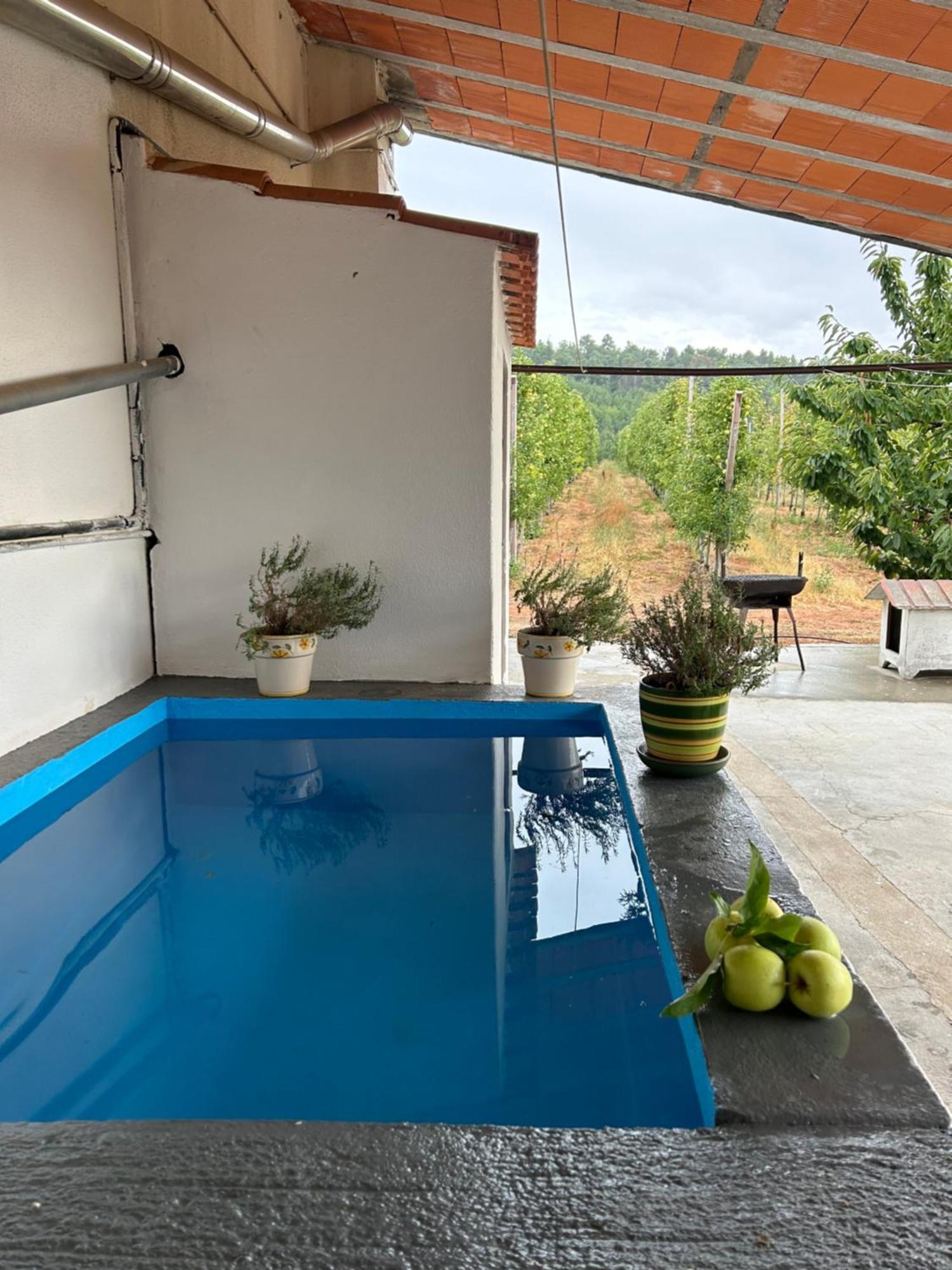 Villa Casa Vicente à Lamego Extérieur photo