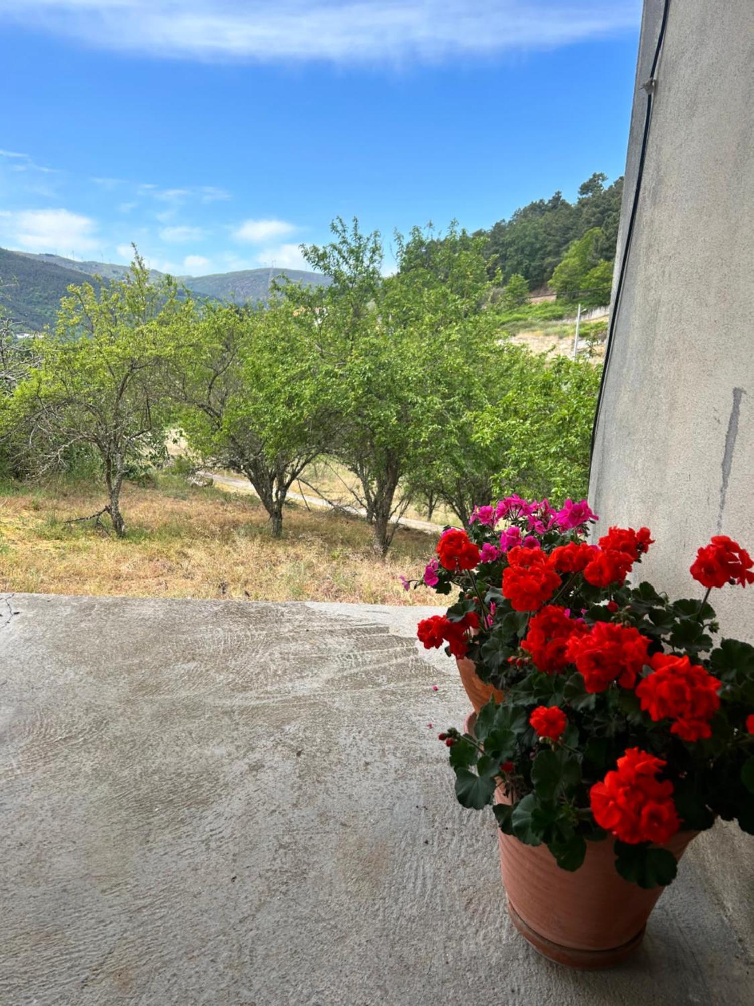 Villa Casa Vicente à Lamego Extérieur photo