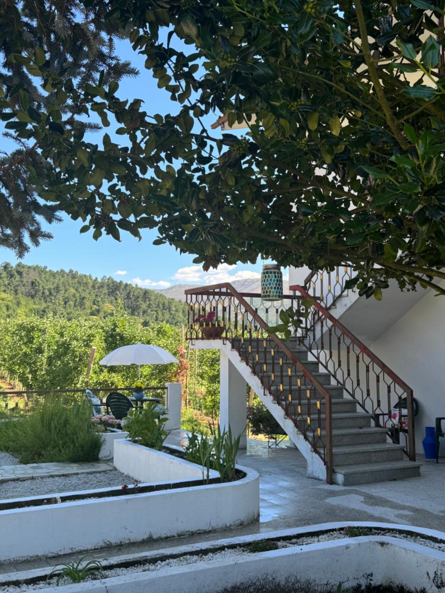 Villa Casa Vicente à Lamego Extérieur photo