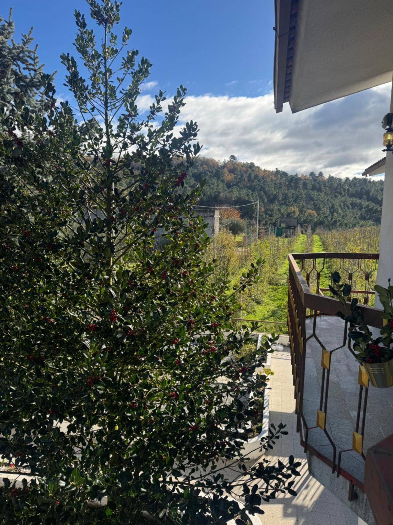 Villa Casa Vicente à Lamego Extérieur photo